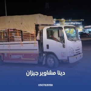دينا مشاوير صامطة