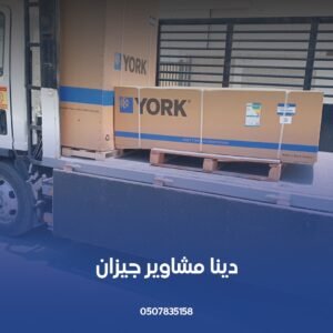 دينا جيزان