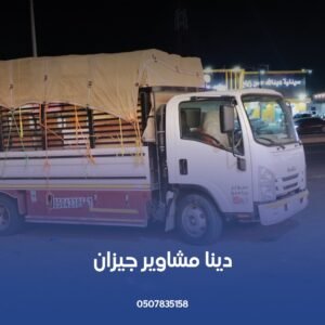 دينا نقل عفش جازان