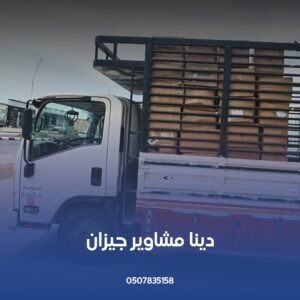 دينا مشاوير